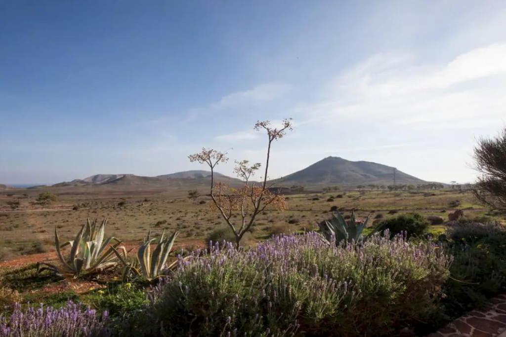 El Risco Colorado, Cabo De Gata Villa Rodalquilar Exteriör bild